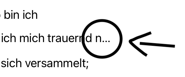 Ein Beispiel für Text-Kürzung